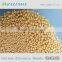 Ceria Stabilized Zirconia Grinding Beads