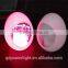 LED light crafts with remote control YXF-1420F