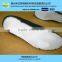 Shoe Insole