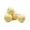 credible china products freshgolden pear