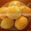 Plastic Mesh for Fruit and Vegetables