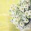 Fragrant aroma hot selling decorative flowers long stem chrysanthemum