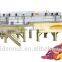 vacuum frying machine