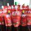 Tomato Katchup Sachet Packing Machine