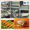Mini Automatic nuggets production line