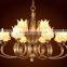 Special Metal Iron Chandelier Pendant lighting