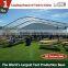 Polygon Wedding Marquee Tent For Sale India