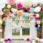 Tissue Paper Pom Poms 10pcs/lot DIY 10"(25 CM) Decorative Flower paper Ball for Baby Shower Birthday Wedding Party Decorations