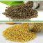 Factory direct supply diammonium phosphate DAP 18-46-0 and NPK compound fertilizer