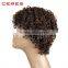 light brown Afro Short Curly Synthetic Wig, Short Hair Wig, Rainbow Wig                        
                                                Quality Choice