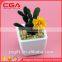 Manufacturers simulation tree plants indoor plants wholesale home decoration glass Decoration