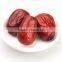 chinese dried date red jujube dried dates