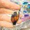 Natural Colorful Agate Slices Wholesale Crystal Ornaments