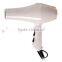 Professional AC Motor ionic Hair Dryer