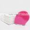 Deep Skin clean Electric face clean Brush machine with CE Certification