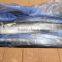 New Arrival High Quality Frozen Spanish Mackerel Fish W/R