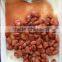 Hot sale Canned Broad Beans in brine Canned Vegetable high quality