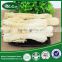 Dried bamboo fungus / long net stinkhorn with mushroom seeds /zhu sun/zhu sheng /zhu shong