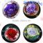Wholesale Luxuious Preserved flower crystal glass/ birthday gift Valentine's Gift