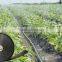 CYLR Micro Spray Products Mirco Irrigation System Good Quality