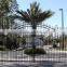 wrought iron/galvanized powder coated steel/Iron Security Gates