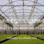 High Quality Mushroom Commercial Greenhouse