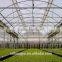Large Size Commercial Greenhouse Hydroponics
