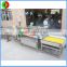 New developed vortex air bubble ozone fruit and vegetable washing machine, advanced vegetable washer for production line
