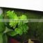 Home garden deco 25cm to 200 cm long artificial green unique mini grass head wall plant EJPZWQ1501 1201