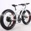 New design electric e bike 36V 10 AH battery 26 inch fat electric bike