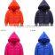 latest kids fashion dianosaur animal cute down clothes,custom made boys padded warm down jacket