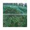 bird netting, heavy duty bird netting, grapes bird netting