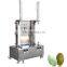 Professional Good Feedback Melon and fruit peeling machine/coconut pineapple Wax gourd peeling machine fruits processing machine