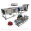 Small Home Type Carrot Cleaner Tomato Vegetable Washing Machine