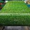 Chininese Popular Grass Design galvanized steel Color PPGI  coil