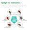 Wuhan Unioasis Biokiller roach killer gel 5g harmless to human