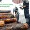China Customs Procedure Updates - Impact Express