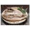 Good quality frozen one night dried ataka mackerel gutted