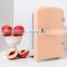 Wholesale 4L 12V Portable Cosmetic Small Refrigerator Mini Car Car Refrigerator With Handle