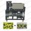 apricot pitting machine from Elva