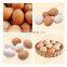 Industrial Egg Grading Machine For Chicken Farm Egg Grader Automatic Egg Cleaner Packer Machine