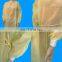 PP+PE Disposable Isolation Gown