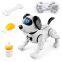 Intelligent remote control robot dog