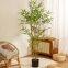 Top Sales New Design Artificial Plante 150cm 9.5 Branches Bamboo Bonsai Real Touch Plants Decorative for Indoor Home Outdoor