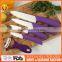 High class ceramic kitchen 5 knives