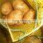 2015 new crop of the potato with best quality