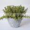 Environmental Artificial Hanging Plant Cheap