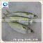 new arrival frozen fish indian mackerel importers