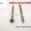 china cheap solted oval head screw stainless steel