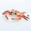 customized Pewter crab jewelry box